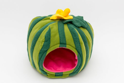 Wassermelone