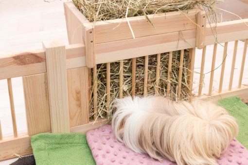 Steck- Gehege LAGERWARE mit kurzer Lieferzeit – Bild 15