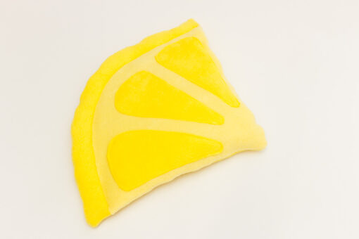 Zitrone mit Kühlakku – Bild 4