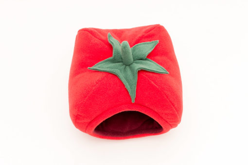 Tomate – Bild 2