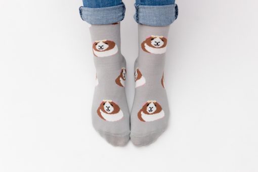 Meerschweinchen Socken